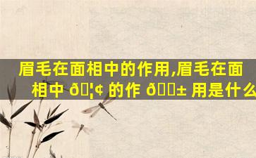 眉毛在面相中的作用,眉毛在面相中 🦢 的作 🐱 用是什么